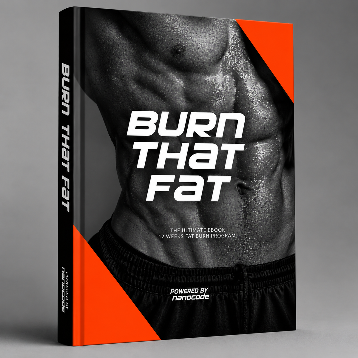 NANOCODE® | 12 WEEK FAT BURN PROGRAM