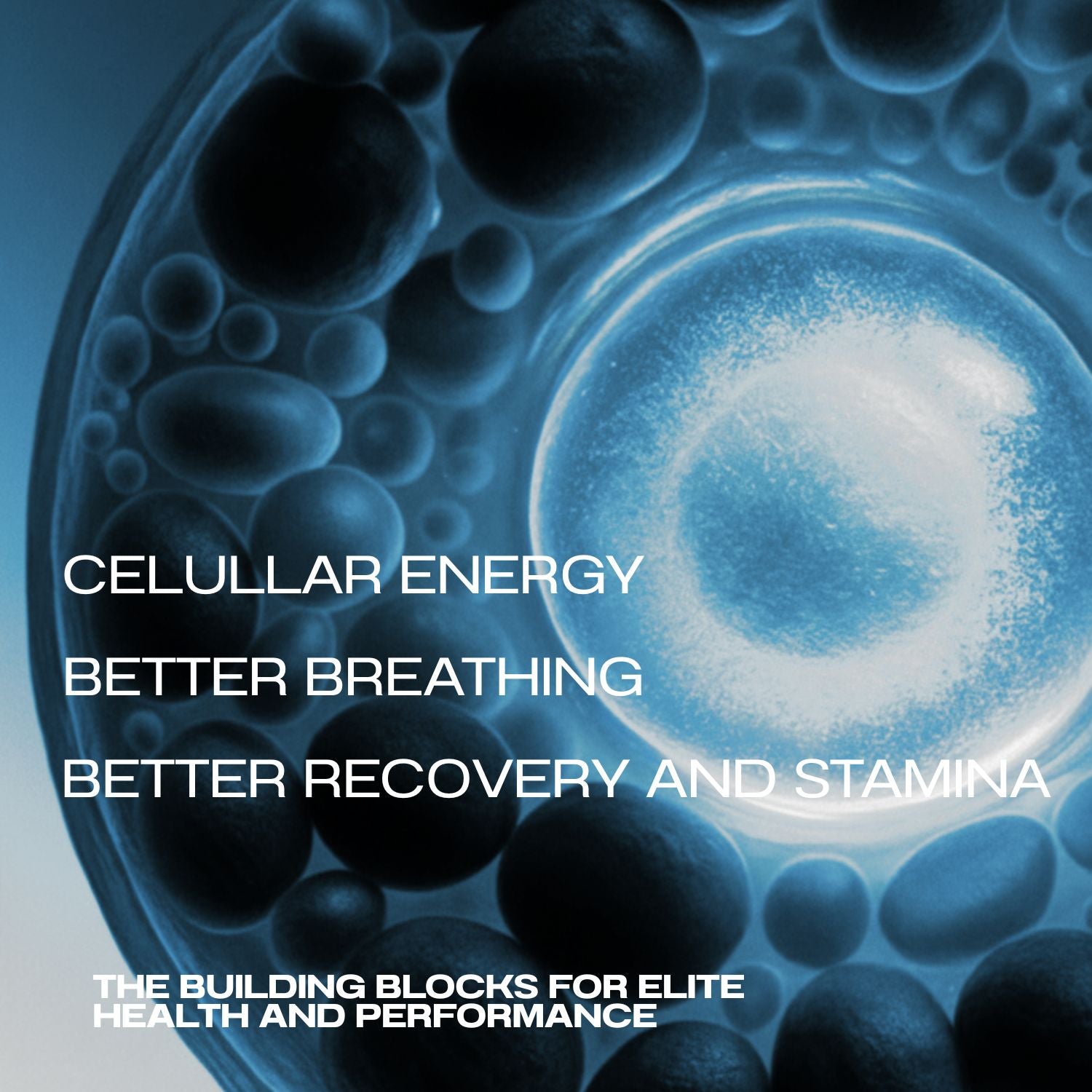 NANOCODE® | OXYGEN..